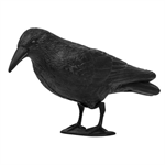 Havran plastová 3D maketa na plašenie vtákov RAVEN ISO 0783, 40cm