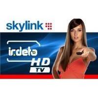 Karta SKYLINK Standard HD IRDETO 